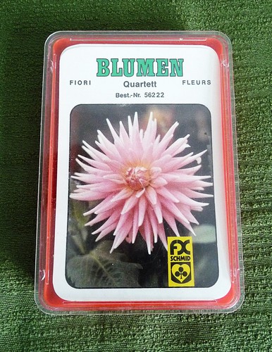 Blumen quartett vintage - vintage, nr