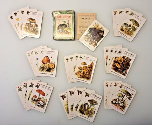 Pilze überall kartenspiel - pilze,